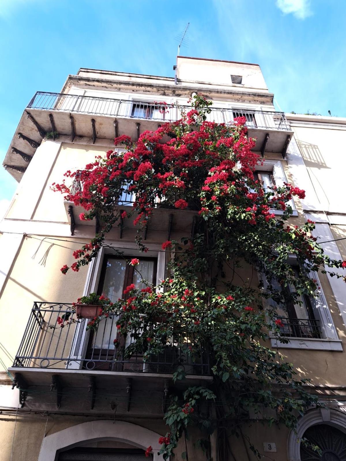 B&B L'Angolo Sulla Piazza Mirabella Imbaccari Extérieur photo